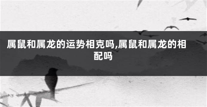 属鼠和属龙的运势相克吗,属鼠和属龙的相配吗