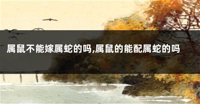 属鼠不能嫁属蛇的吗,属鼠的能配属蛇的吗