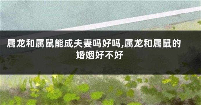 属龙和属鼠能成夫妻吗好吗,属龙和属鼠的婚姻好不好