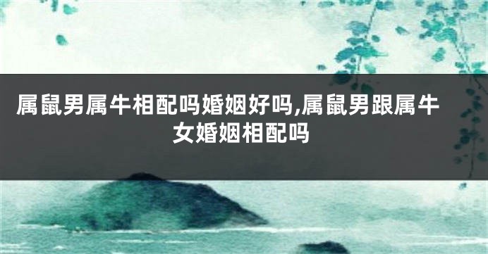 属鼠男属牛相配吗婚姻好吗,属鼠男跟属牛女婚姻相配吗