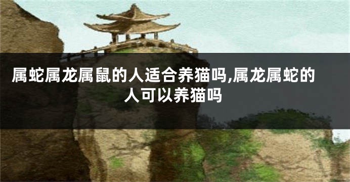属蛇属龙属鼠的人适合养猫吗,属龙属蛇的人可以养猫吗