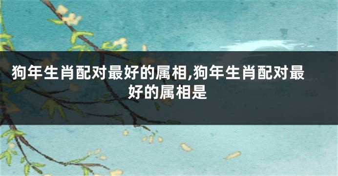 狗年生肖配对最好的属相,狗年生肖配对最好的属相是