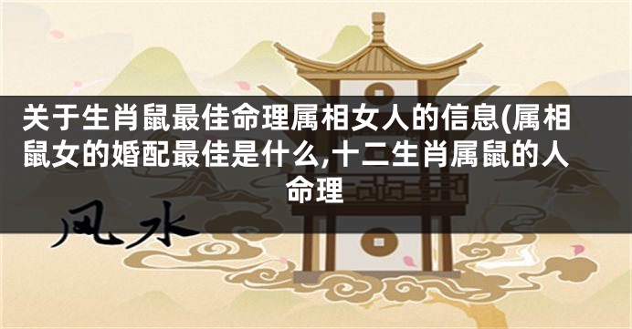 关于生肖鼠最佳命理属相女人的信息(属相鼠女的婚配最佳是什么,十二生肖属鼠的人命理