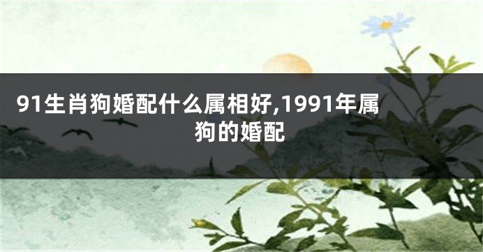91生肖狗婚配什么属相好,1991年属狗的婚配