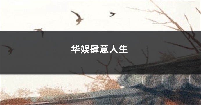 华娱肆意人生