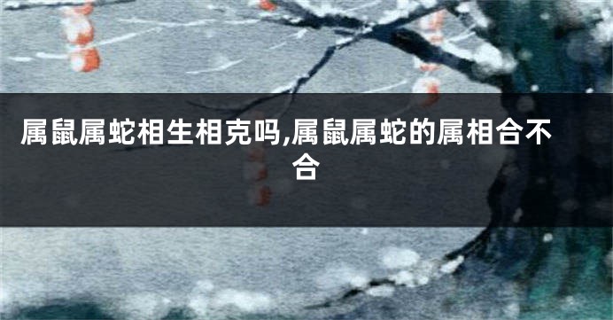属鼠属蛇相生相克吗,属鼠属蛇的属相合不合