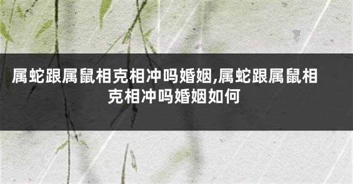 属蛇跟属鼠相克相冲吗婚姻,属蛇跟属鼠相克相冲吗婚姻如何