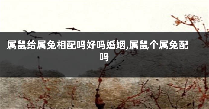 属鼠给属兔相配吗好吗婚姻,属鼠个属兔配吗