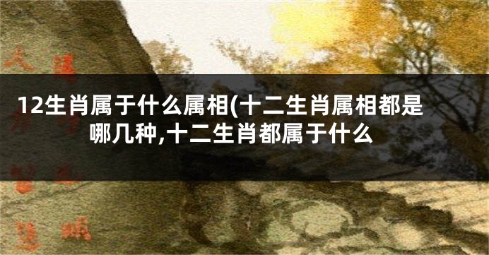 12生肖属于什么属相(十二生肖属相都是哪几种,十二生肖都属于什么