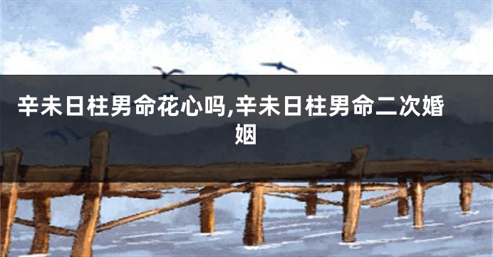 辛未日柱男命花心吗,辛未日柱男命二次婚姻