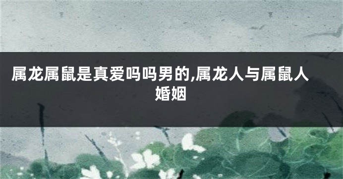 属龙属鼠是真爱吗吗男的,属龙人与属鼠人婚姻