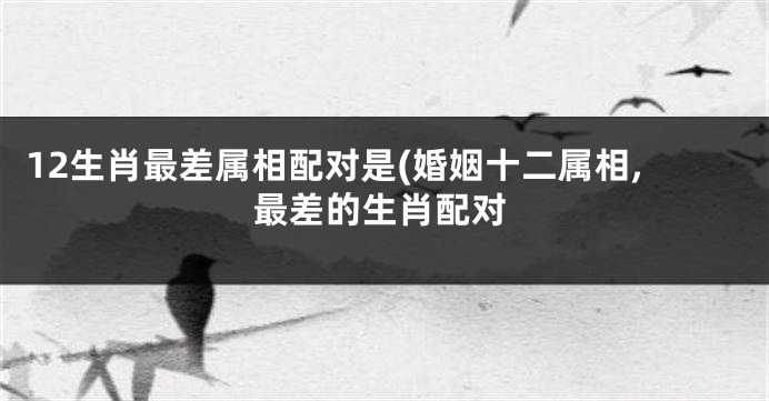 12生肖最差属相配对是(婚姻十二属相,最差的生肖配对