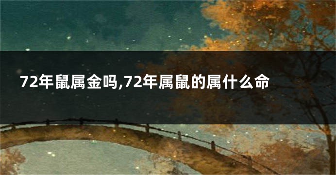 72年鼠属金吗,72年属鼠的属什么命