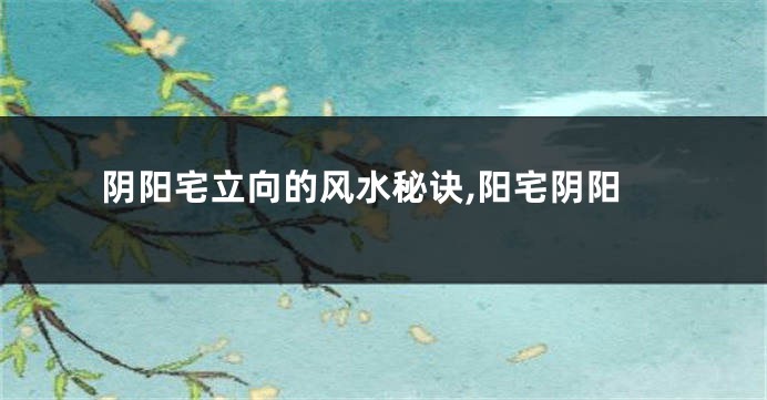 阴阳宅立向的风水秘诀,阳宅阴阳