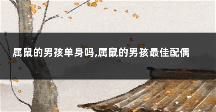 属鼠的男孩单身吗,属鼠的男孩最佳配偶