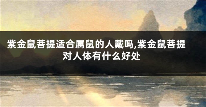 紫金鼠菩提适合属鼠的人戴吗,紫金鼠菩提对人体有什么好处