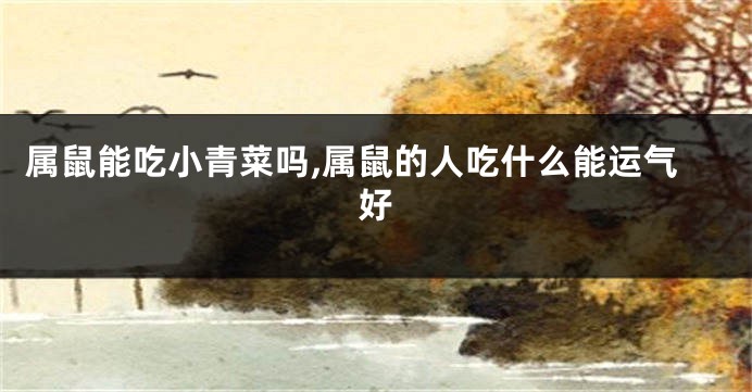 属鼠能吃小青菜吗,属鼠的人吃什么能运气好