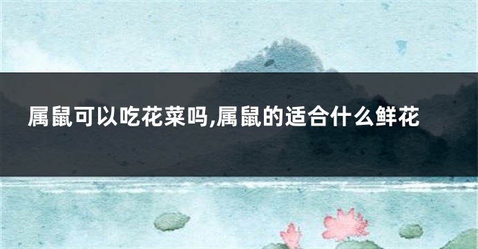 属鼠可以吃花菜吗,属鼠的适合什么鲜花