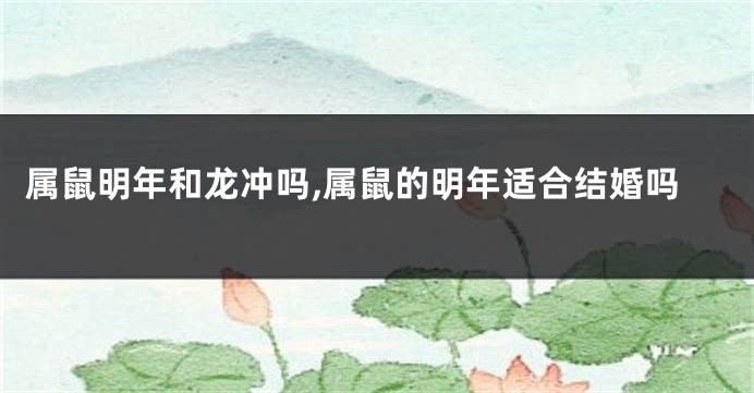属鼠明年和龙冲吗,属鼠的明年适合结婚吗