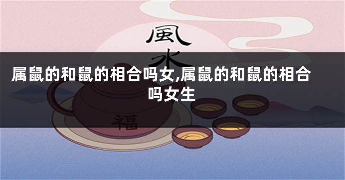 属鼠的和鼠的相合吗女,属鼠的和鼠的相合吗女生