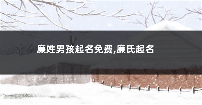 廉姓男孩起名免费,廉氏起名
