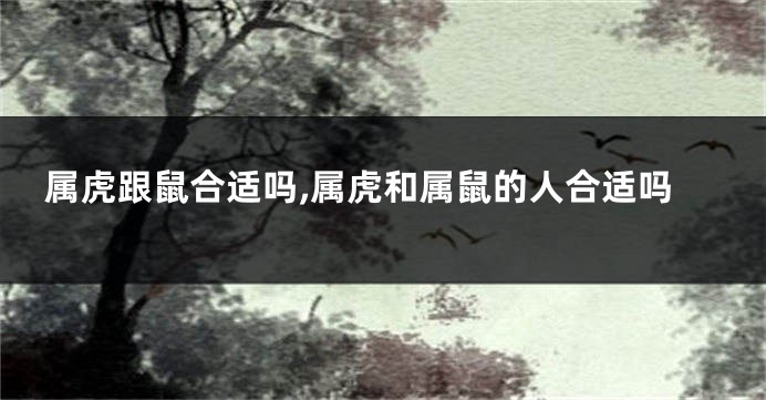 属虎跟鼠合适吗,属虎和属鼠的人合适吗