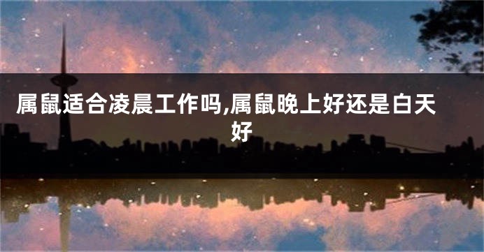 属鼠适合凌晨工作吗,属鼠晚上好还是白天好
