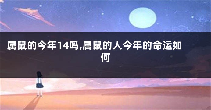 属鼠的今年14吗,属鼠的人今年的命运如何