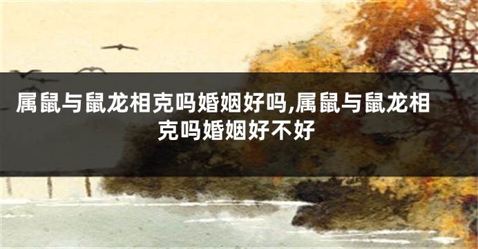 属鼠与鼠龙相克吗婚姻好吗,属鼠与鼠龙相克吗婚姻好不好