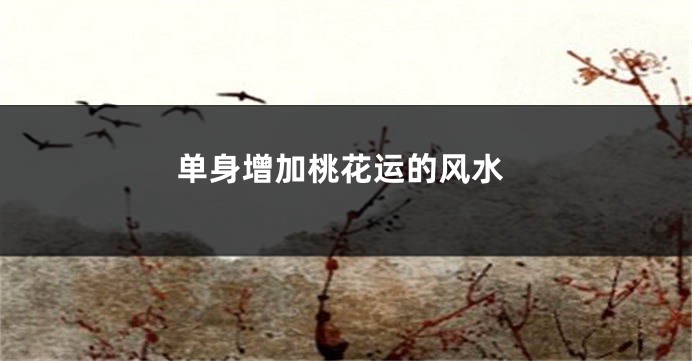 单身增加桃花运的风水