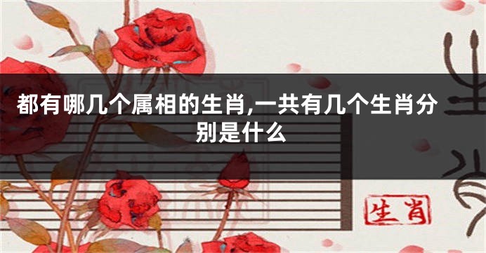 都有哪几个属相的生肖,一共有几个生肖分别是什么