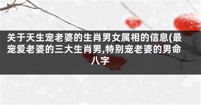 关于天生宠老婆的生肖男女属相的信息(最宠爱老婆的三大生肖男,特别宠老婆的男命八字