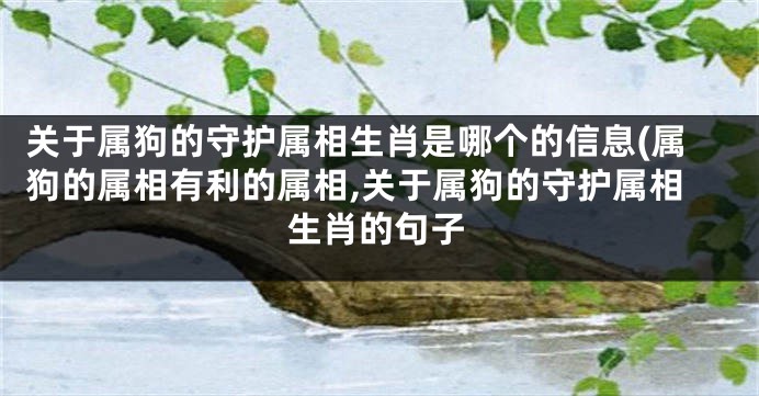关于属狗的守护属相生肖是哪个的信息(属狗的属相有利的属相,关于属狗的守护属相生肖的句子