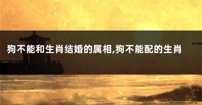 狗不能和生肖结婚的属相,狗不能配的生肖