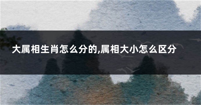 大属相生肖怎么分的,属相大小怎么区分