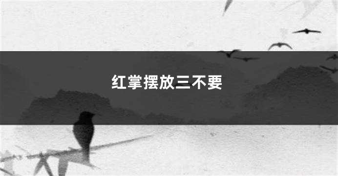 红掌摆放三不要
