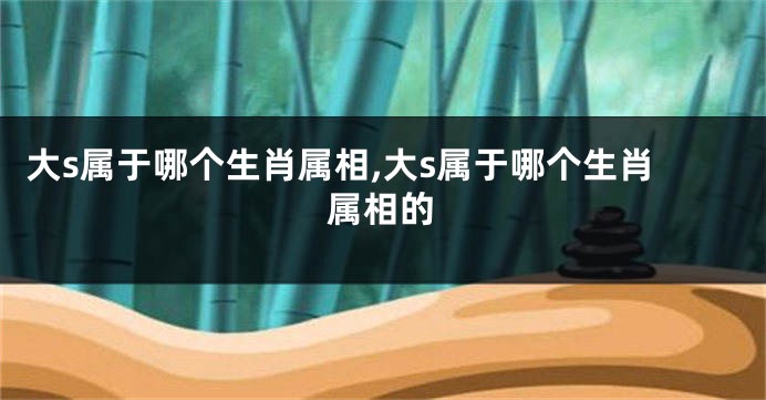 大s属于哪个生肖属相,大s属于哪个生肖属相的