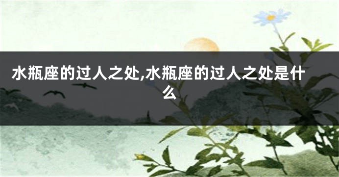 水瓶座的过人之处,水瓶座的过人之处是什么