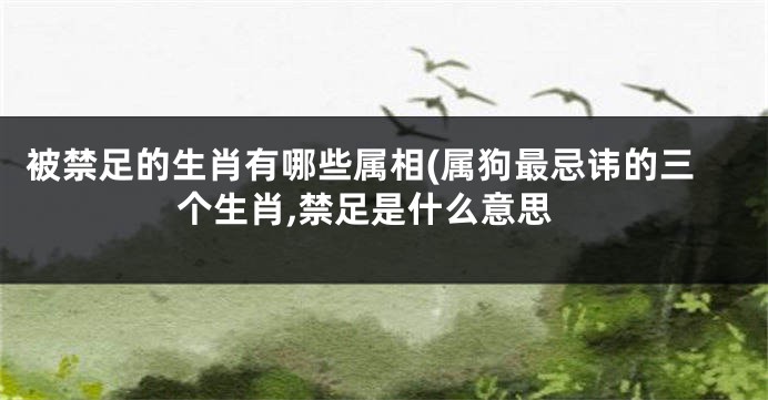 被禁足的生肖有哪些属相(属狗最忌讳的三个生肖,禁足是什么意思
