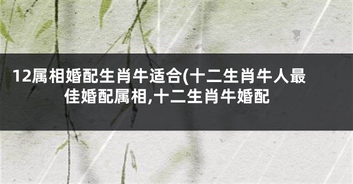 12属相婚配生肖牛适合(十二生肖牛人最佳婚配属相,十二生肖牛婚配