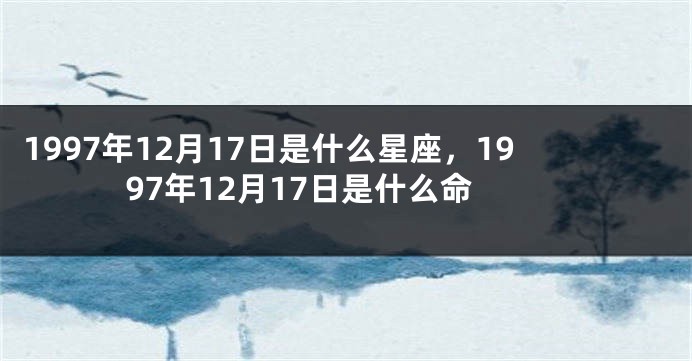 1997年12月17日是什么星座，1997年12月17日是什么命