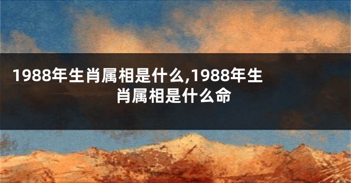 1988年生肖属相是什么,1988年生肖属相是什么命
