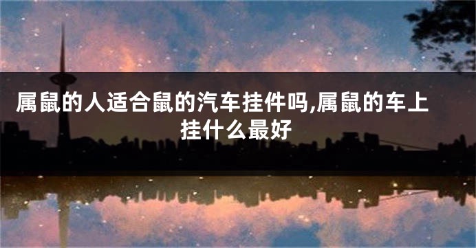 属鼠的人适合鼠的汽车挂件吗,属鼠的车上挂什么最好