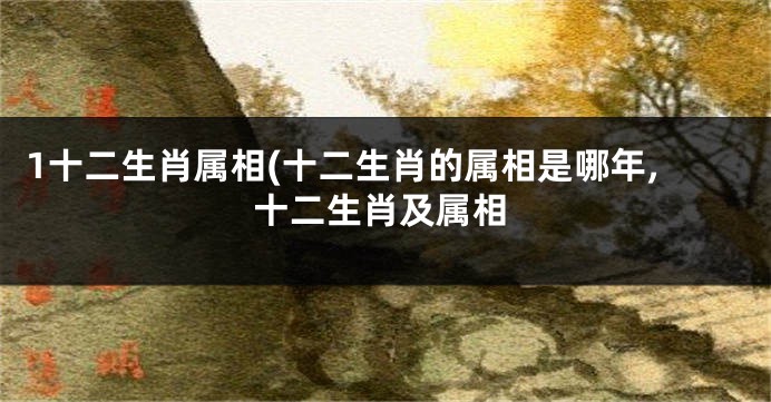 1十二生肖属相(十二生肖的属相是哪年,十二生肖及属相