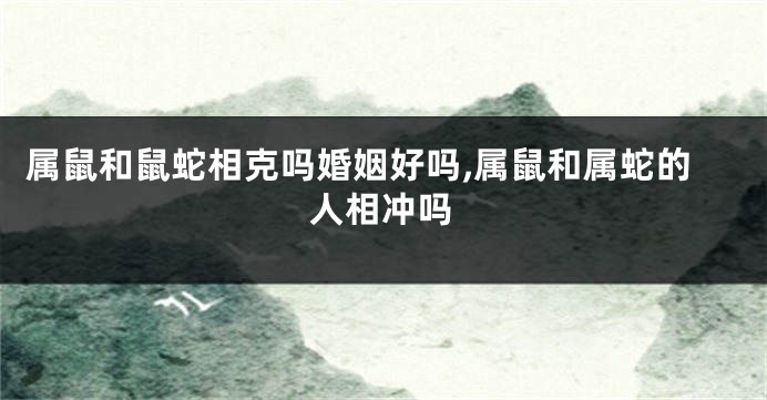 属鼠和鼠蛇相克吗婚姻好吗,属鼠和属蛇的人相冲吗
