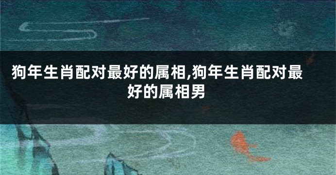 狗年生肖配对最好的属相,狗年生肖配对最好的属相男
