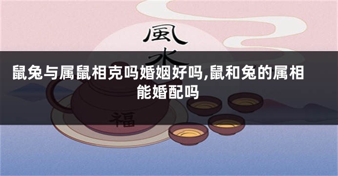 鼠兔与属鼠相克吗婚姻好吗,鼠和兔的属相能婚配吗