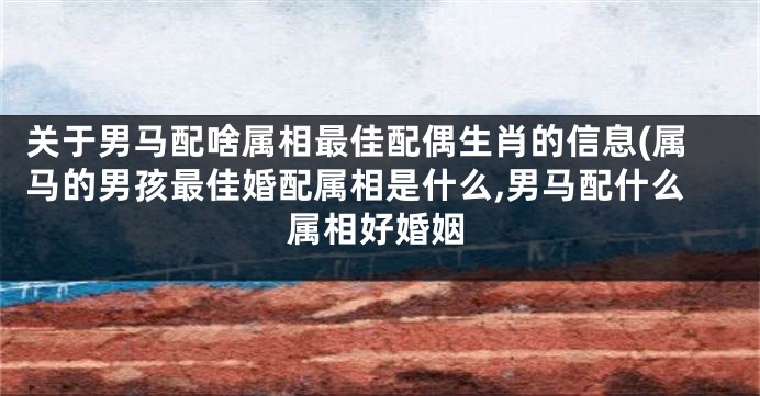 关于男马配啥属相最佳配偶生肖的信息(属马的男孩最佳婚配属相是什么,男马配什么属相好婚姻