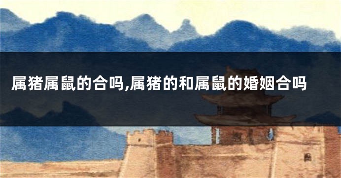 属猪属鼠的合吗,属猪的和属鼠的婚姻合吗