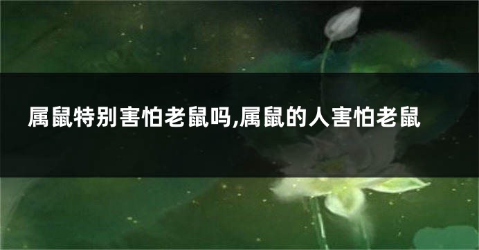 属鼠特别害怕老鼠吗,属鼠的人害怕老鼠